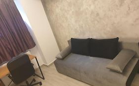 Grozavesti Apartment Near Politehnic Park